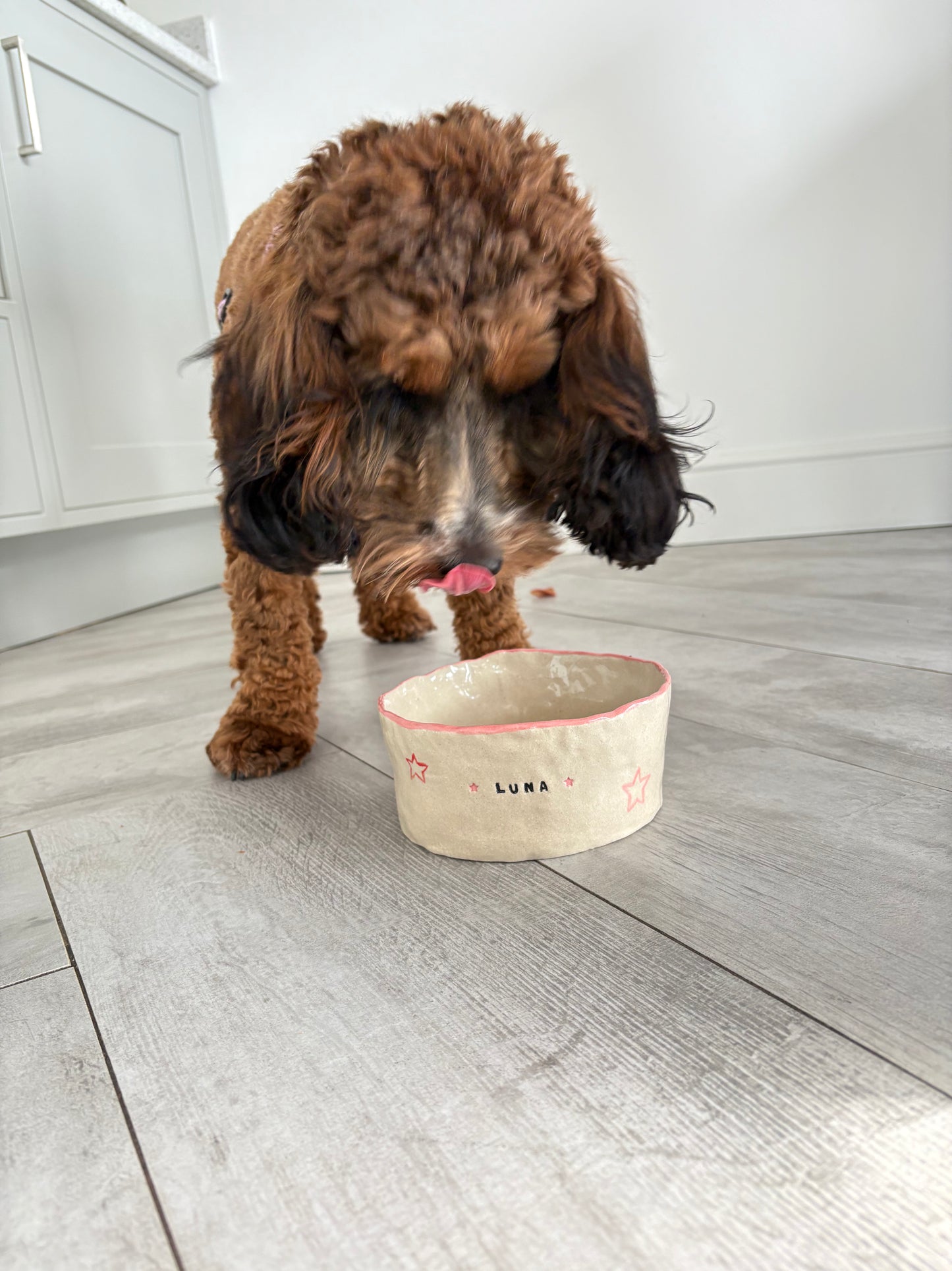 Personalised Dog Bowl