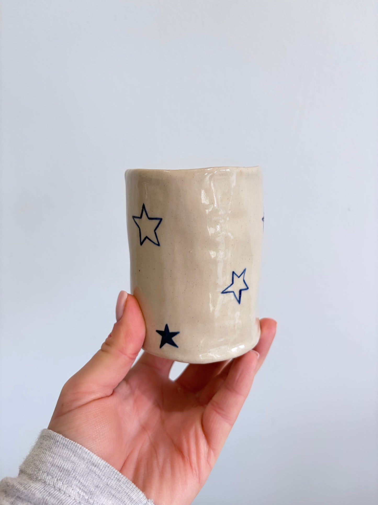 Star Travel Cup